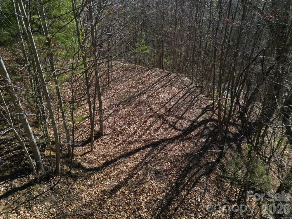 1165 Scenic Circle Waynesville, NC 28786