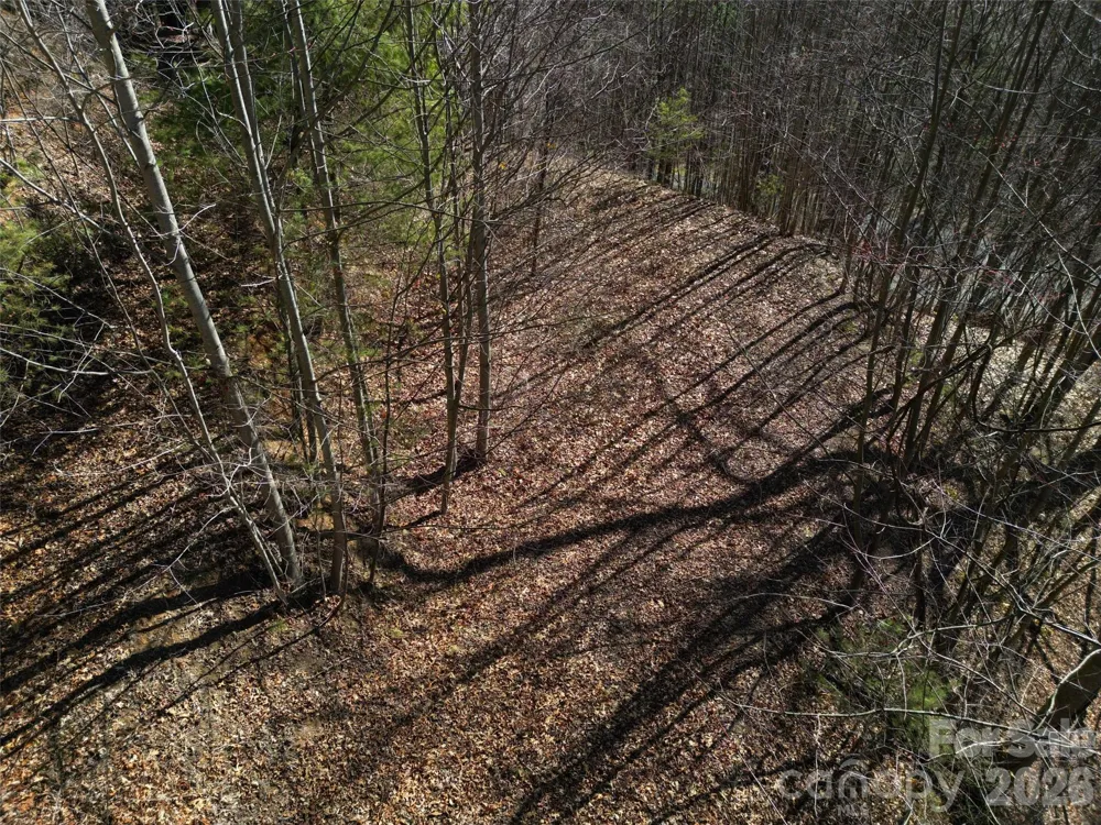1165 Scenic Circle Waynesville, NC 28786
