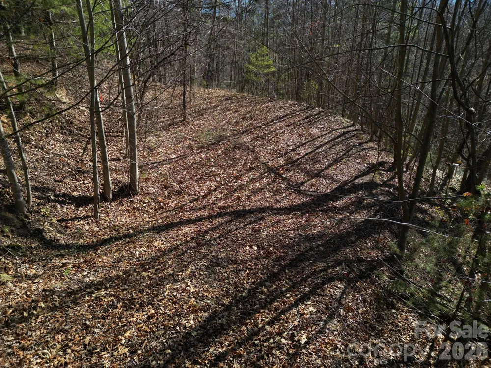 1165 Scenic Circle Waynesville, NC 28786