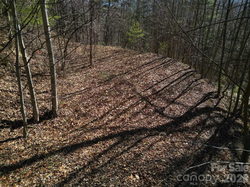 1165 Scenic Circle Waynesville, NC 28786