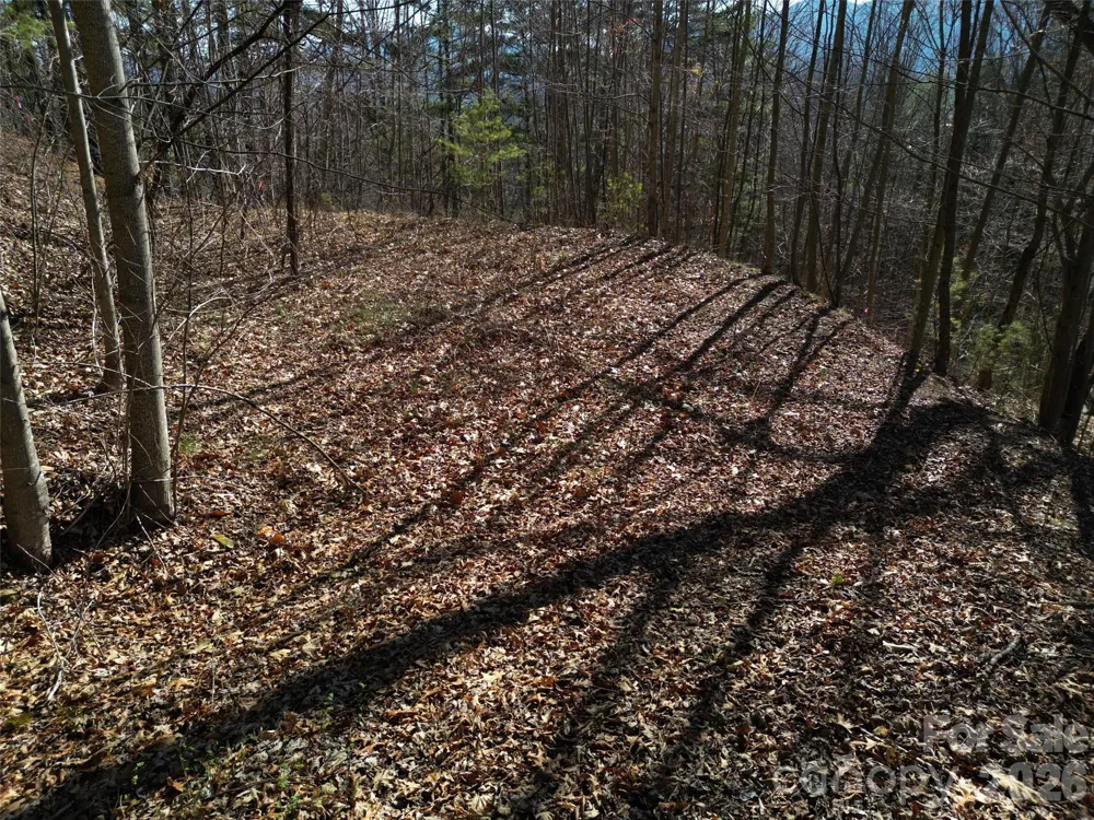 1165 Scenic Circle Waynesville, NC 28786