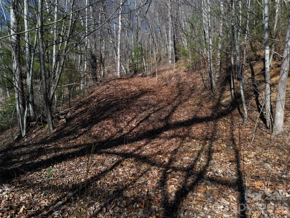 1165 Scenic Circle Waynesville, NC 28786