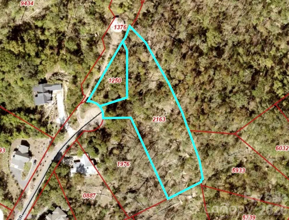 99999 High Bluff Drive Weaverville, NC 28787