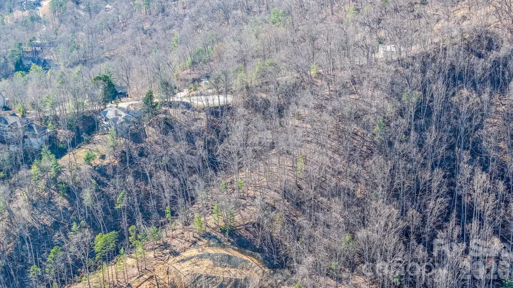 99999 High Bluff Drive Weaverville, NC 28787