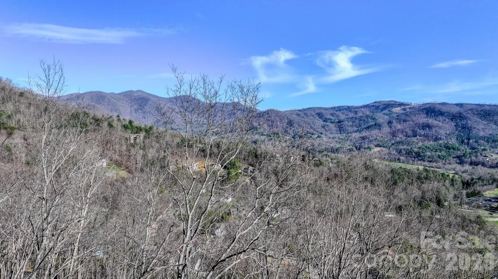 99999 High Bluff Drive Weaverville, NC 28787