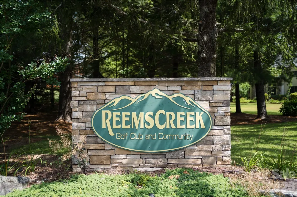 99999 High Bluff Drive Weaverville, NC 28787