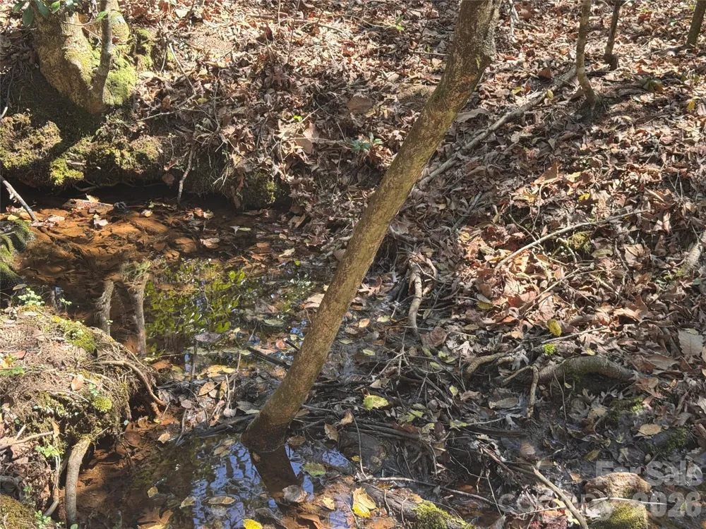 335 Woodrow Hoyle Road Casar, NC 28020