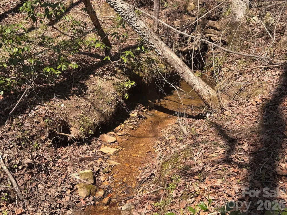 335 Woodrow Hoyle Road Casar, NC 28020