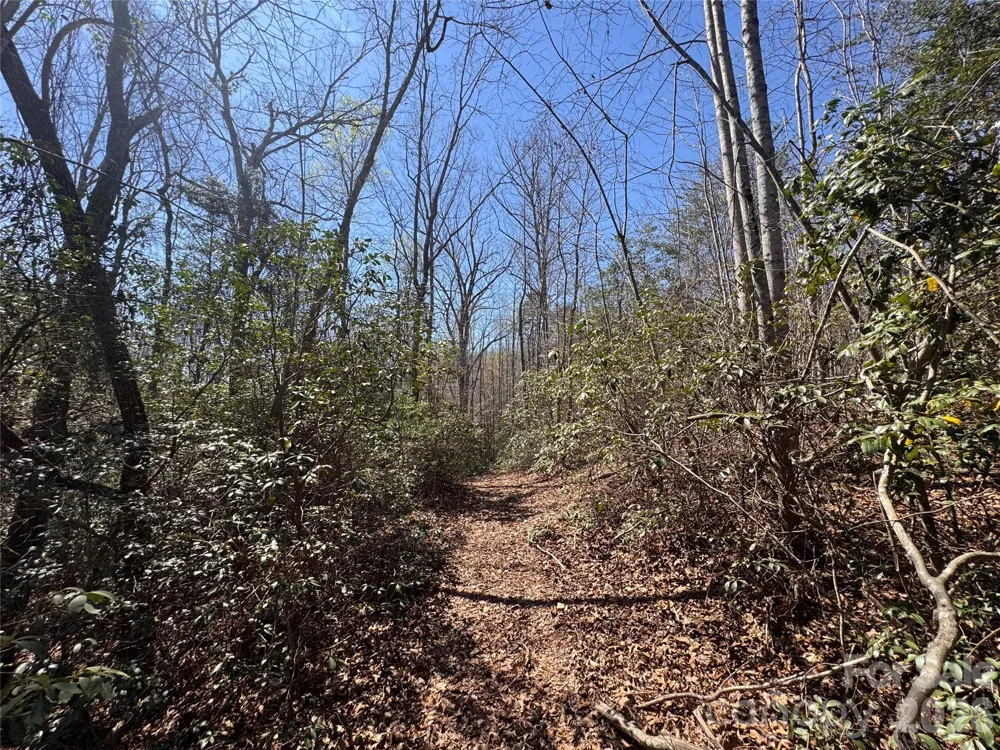 335 Woodrow Hoyle Road Casar, NC 28020