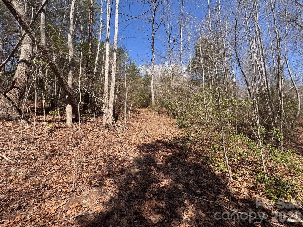 335 Woodrow Hoyle Road Casar, NC 28020