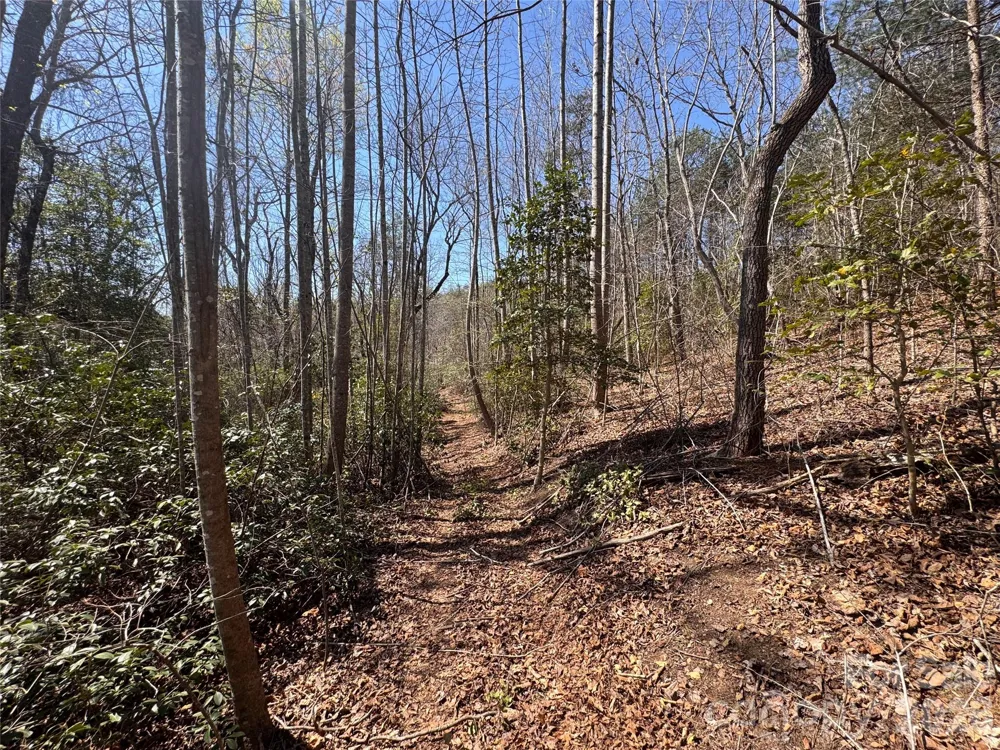 335 Woodrow Hoyle Road Casar, NC 28020