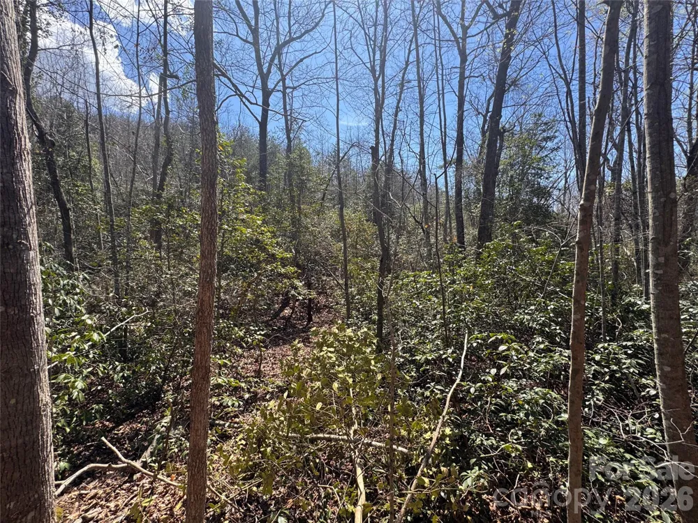 335 Woodrow Hoyle Road Casar, NC 28020