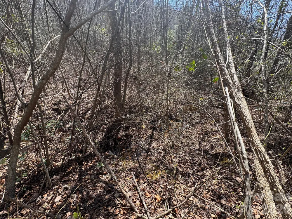 335 Woodrow Hoyle Road Casar, NC 28020