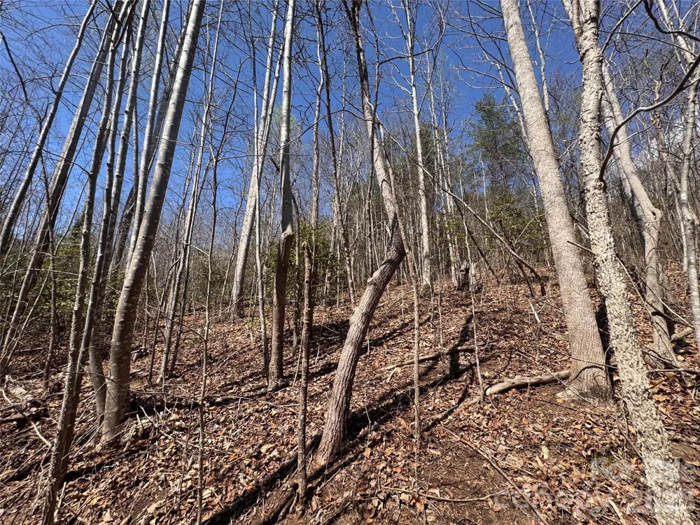 335 Woodrow Hoyle Road Casar, NC 28020