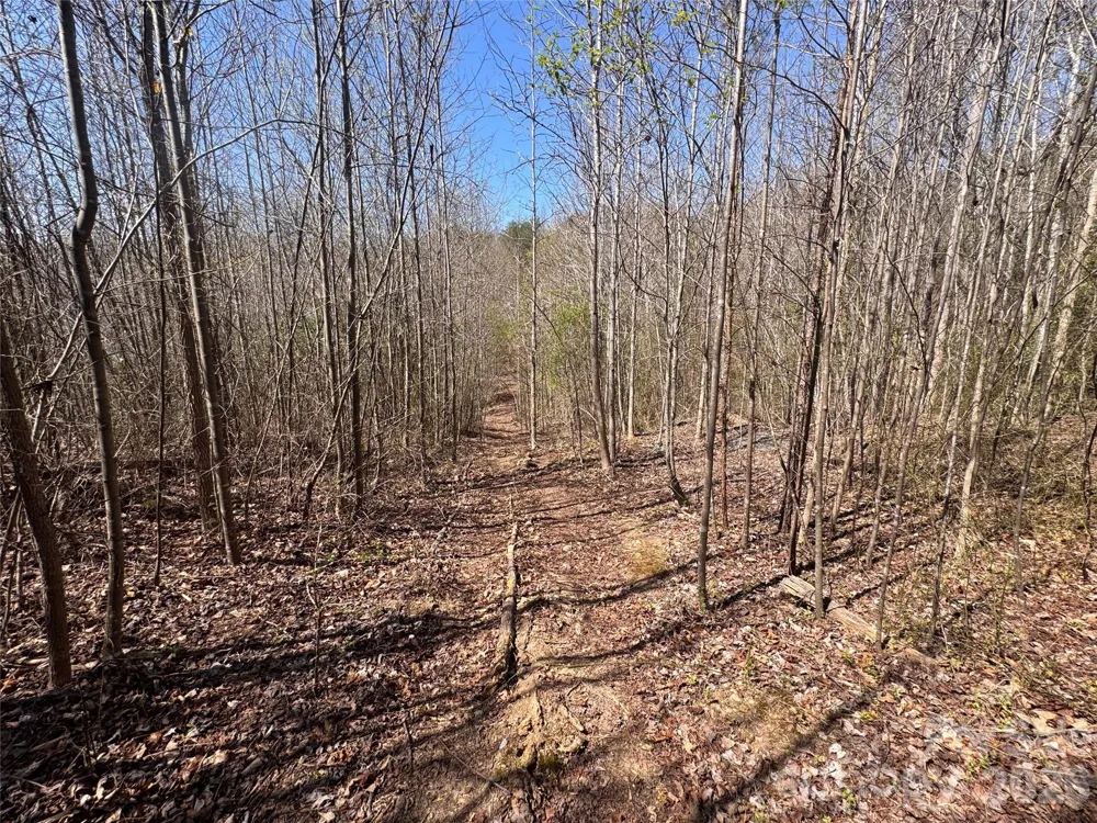 335 Woodrow Hoyle Road Casar, NC 28020