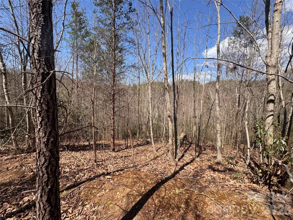 335 Woodrow Hoyle Road Casar, NC 28020