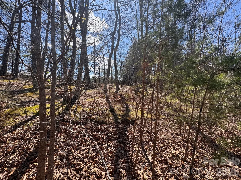 335 Woodrow Hoyle Road Casar, NC 28020
