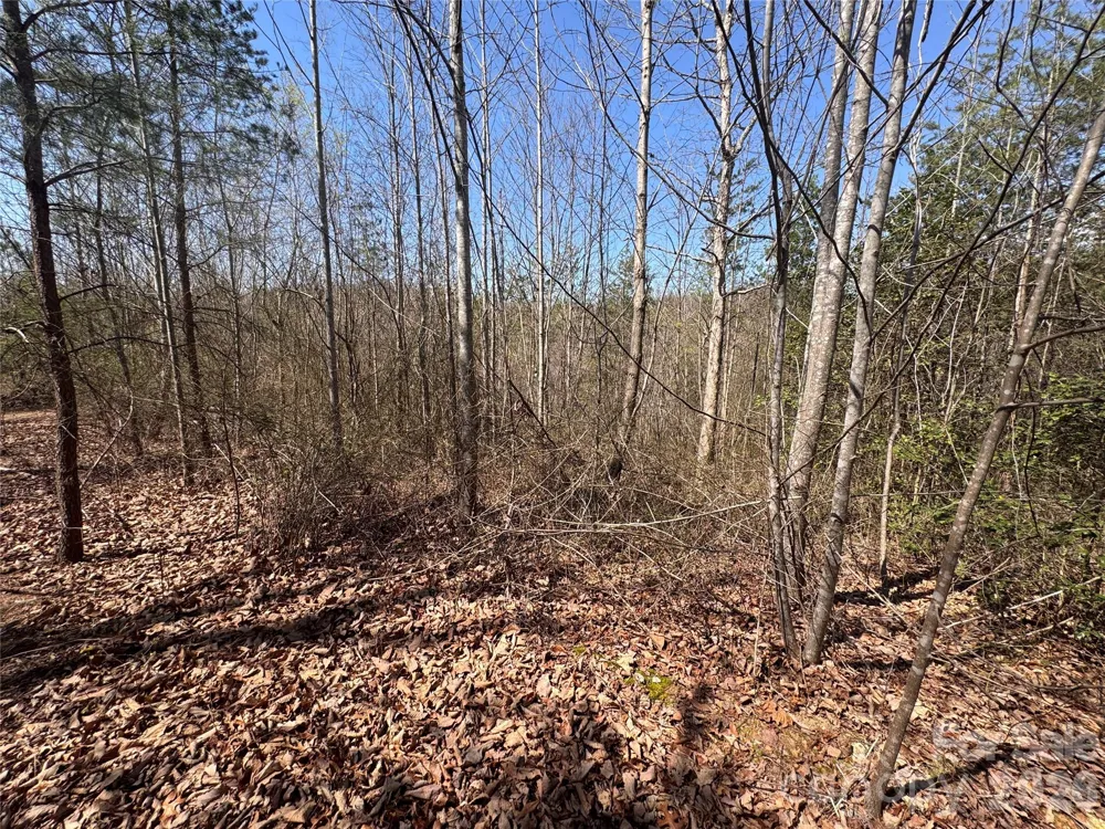 335 Woodrow Hoyle Road Casar, NC 28020