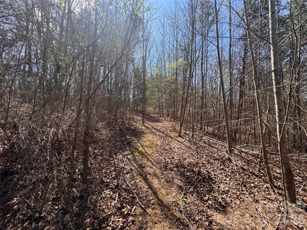 335 Woodrow Hoyle Road Casar, NC 28020