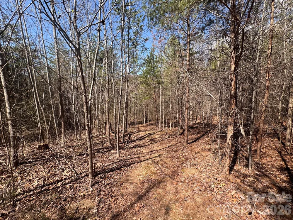 335 Woodrow Hoyle Road Casar, NC 28020
