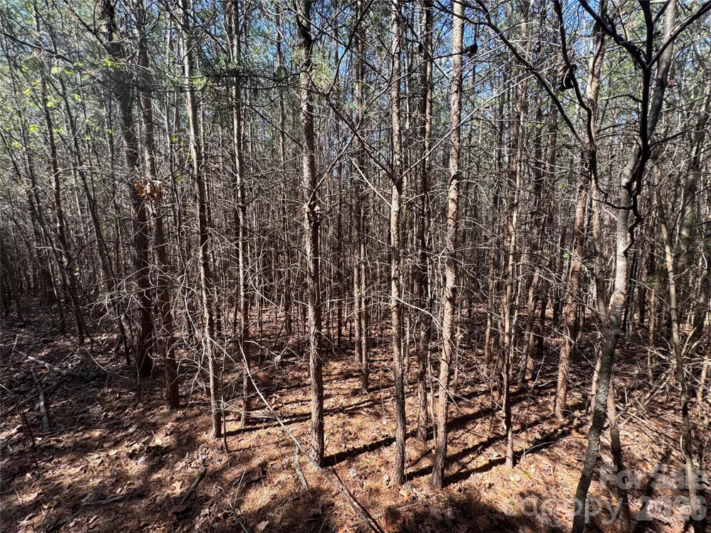 335 Woodrow Hoyle Road Casar, NC 28020