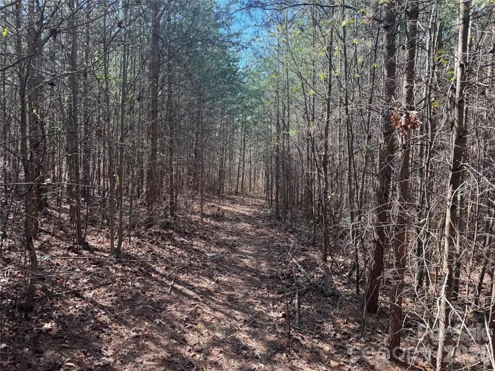 335 Woodrow Hoyle Road Casar, NC 28020