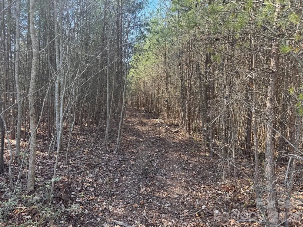 335 Woodrow Hoyle Road Casar, NC 28020