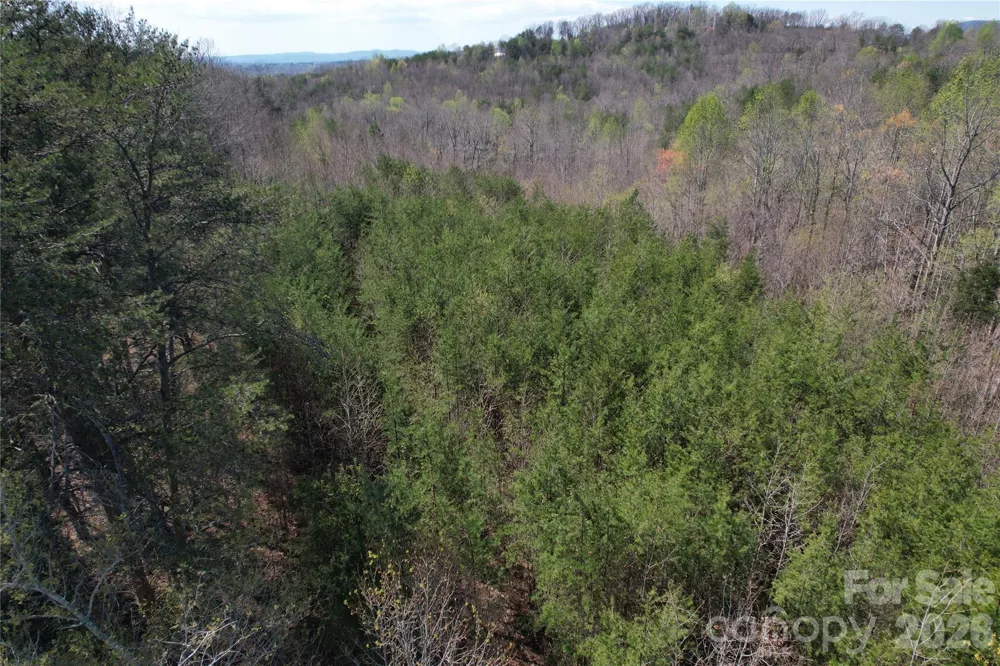 335 Woodrow Hoyle Road Casar, NC 28020