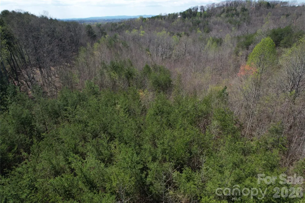 335 Woodrow Hoyle Road Casar, NC 28020