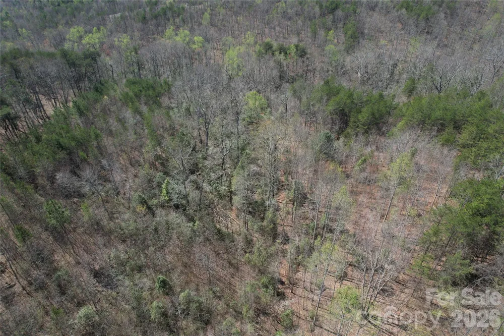 335 Woodrow Hoyle Road Casar, NC 28020