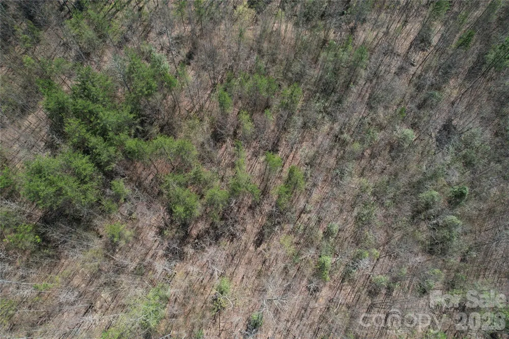 335 Woodrow Hoyle Road Casar, NC 28020