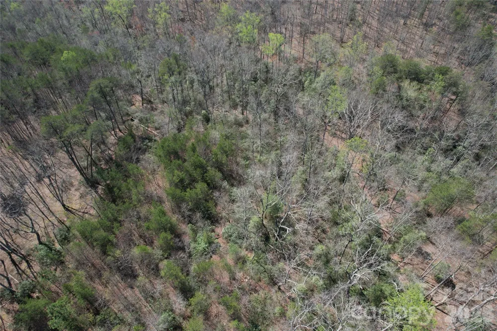 335 Woodrow Hoyle Road Casar, NC 28020