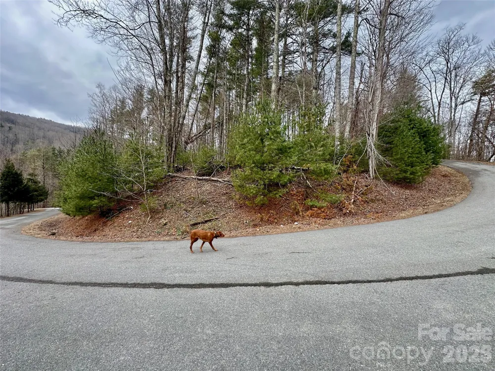 TBD mantera Ridge Sugar Grove, NC 28679