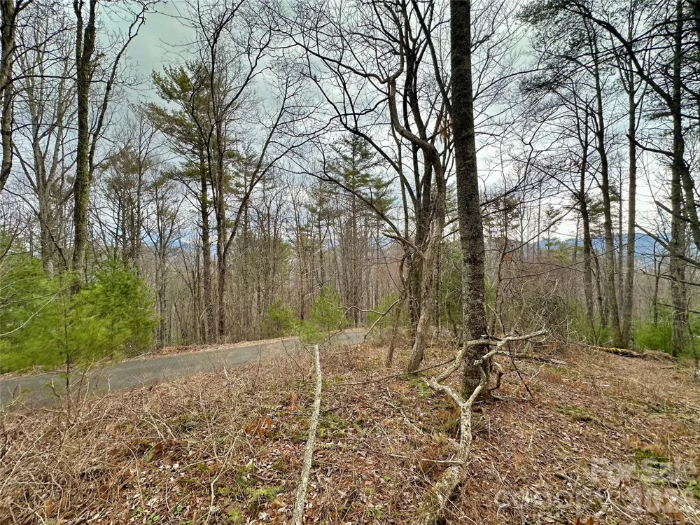 TBD mantera Ridge Sugar Grove, NC 28679