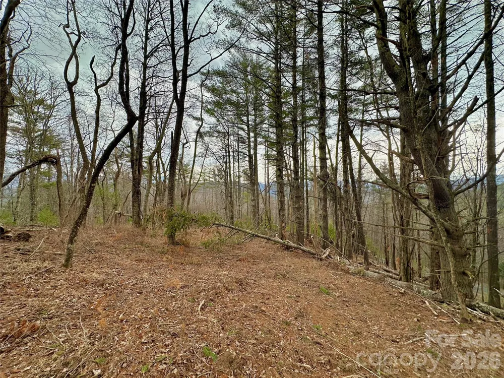 TBD mantera Ridge Sugar Grove, NC 28679