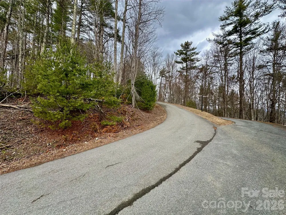 TBD mantera Ridge Sugar Grove, NC 28679