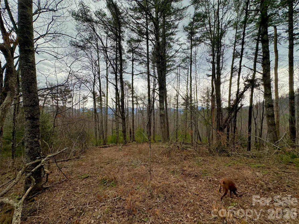 TBD mantera Ridge Sugar Grove, NC 28679