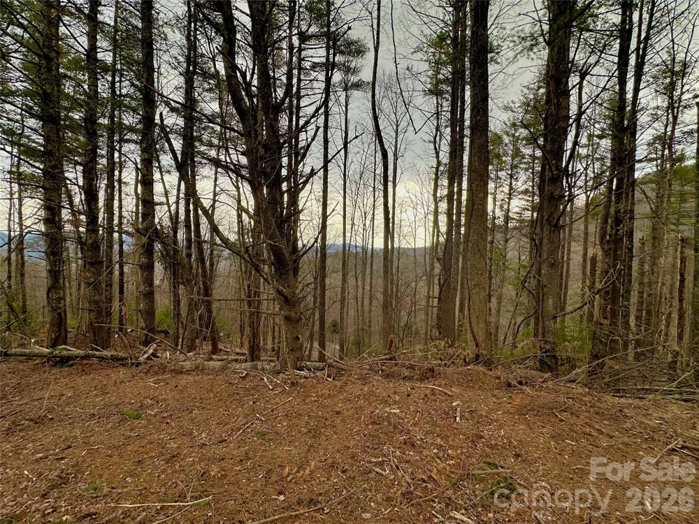 TBD mantera Ridge Sugar Grove, NC 28679