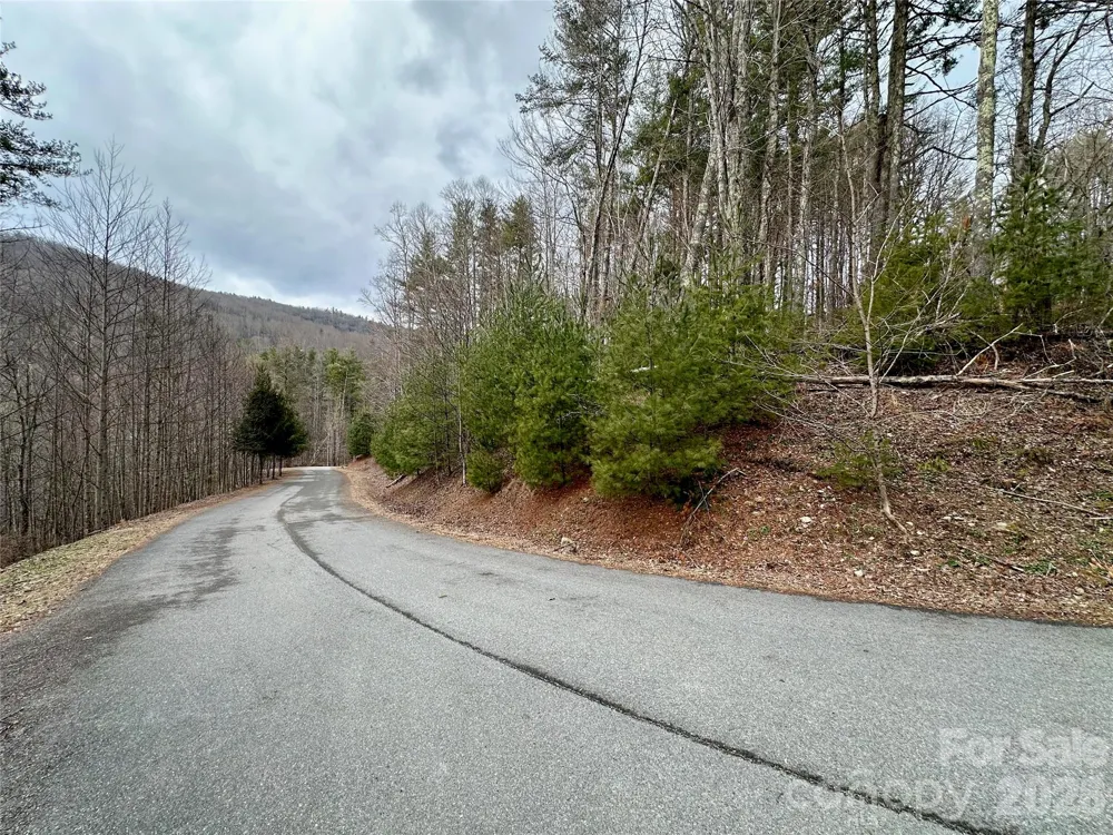 TBD mantera Ridge Sugar Grove, NC 28679
