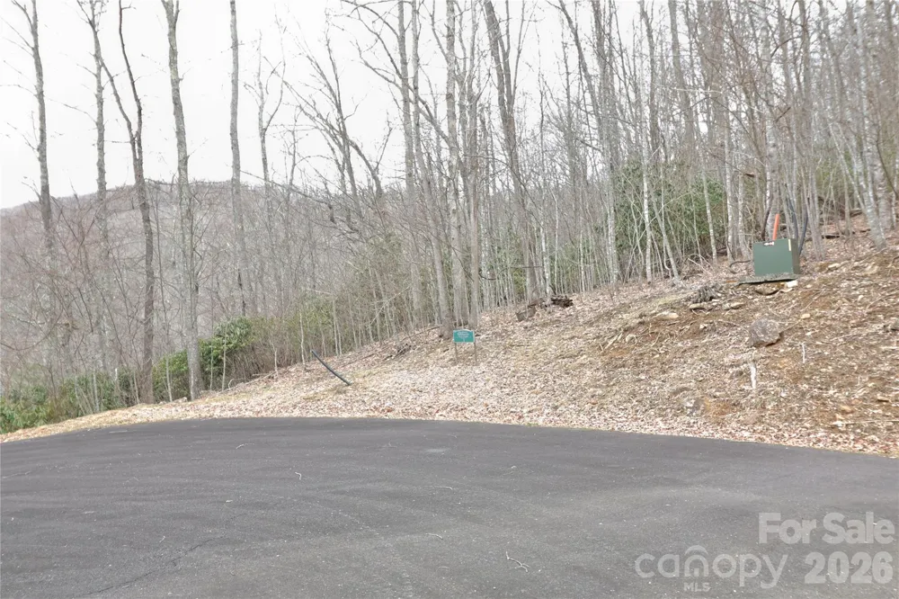 TBD Chardonnay Court #1 Newland, NC 28657