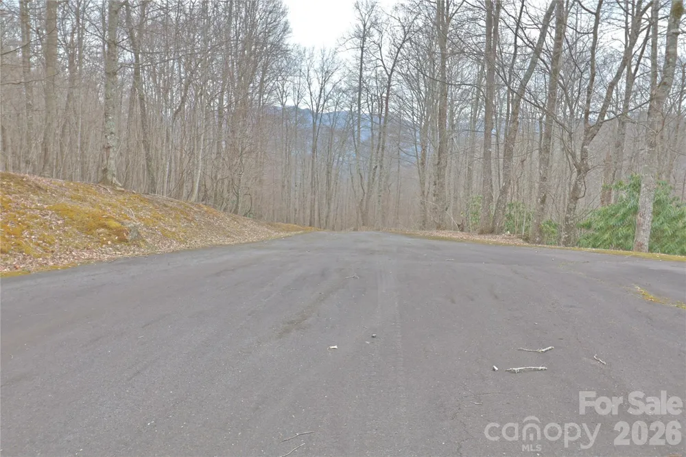 TBD Chardonnay Court #1 Newland, NC 28657