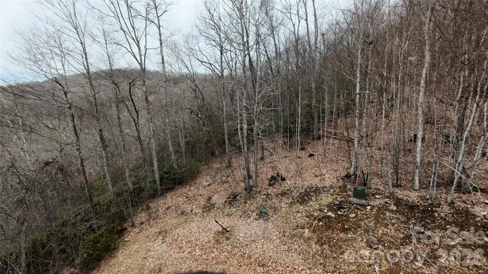TBD Chardonnay Court #1 Newland, NC 28657