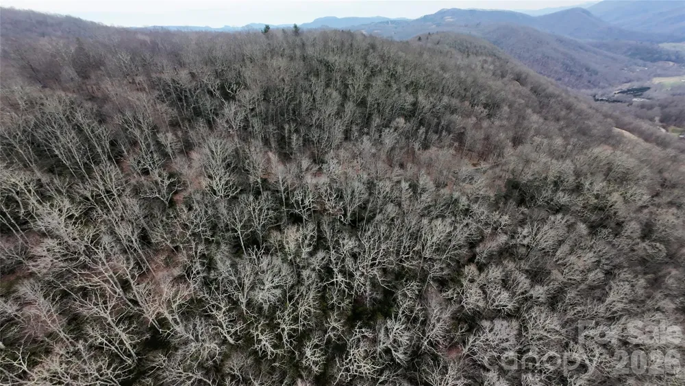 TBD Chardonnay Court #1 Newland, NC 28657