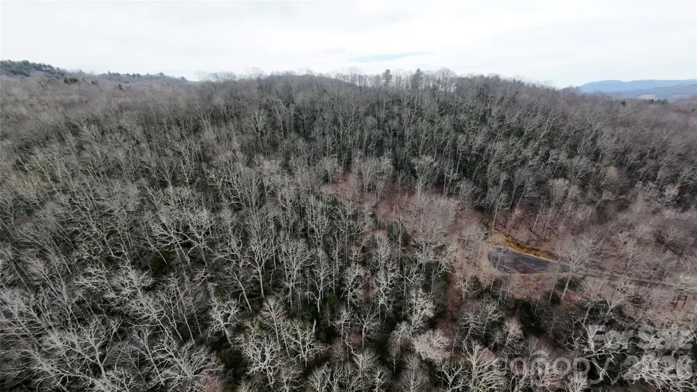 TBD Chardonnay Court #1 Newland, NC 28657