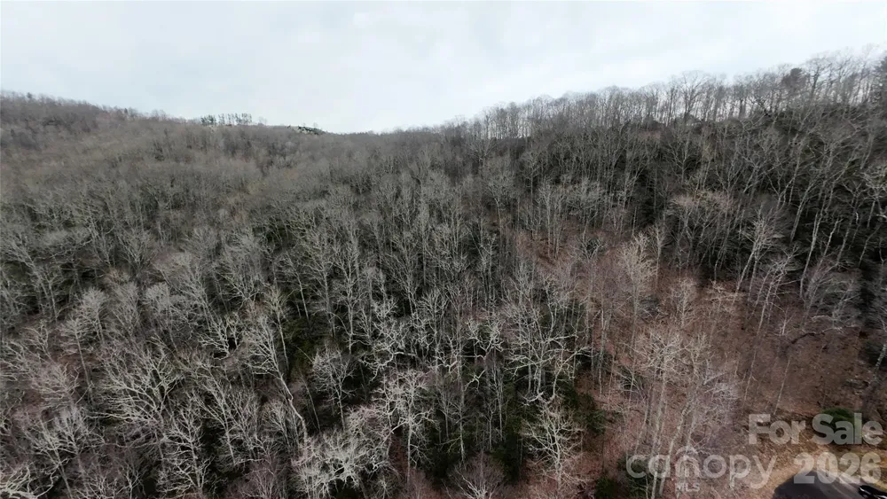 TBD Chardonnay Court #1 Newland, NC 28657