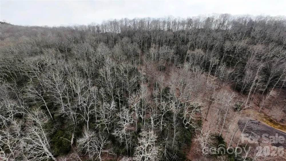 TBD Chardonnay Court #1 Newland, NC 28657