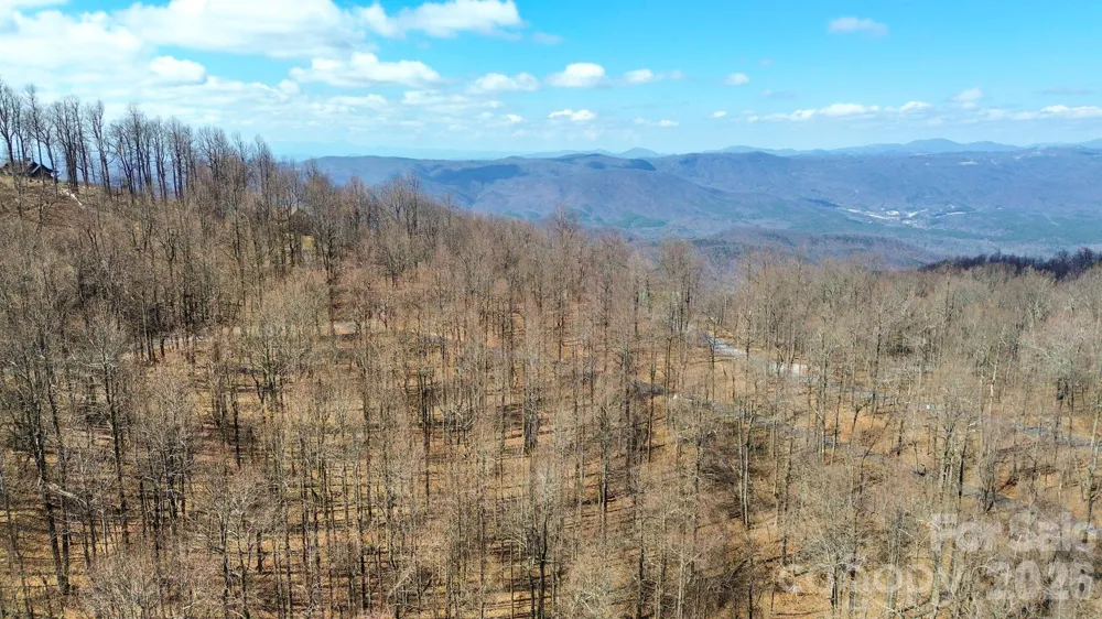 Lot 20 Sunset Ridge Drive #20 Columbus, NC 28722