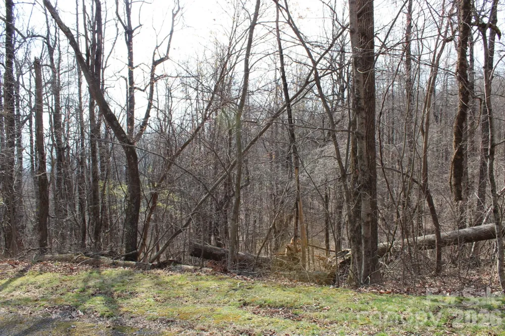 Lot 20 Sunset Ridge Drive #20 Columbus, NC 28722