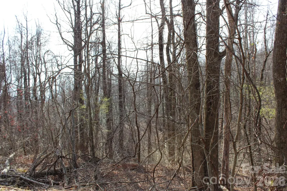 Lot 20 Sunset Ridge Drive #20 Columbus, NC 28722