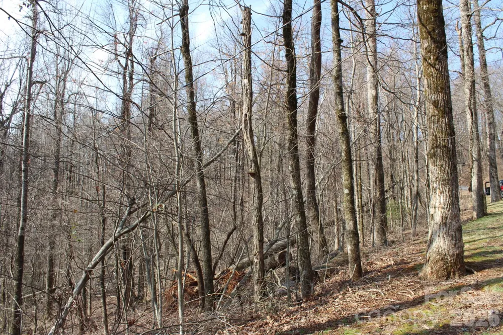 Lot 20 Sunset Ridge Drive #20 Columbus, NC 28722